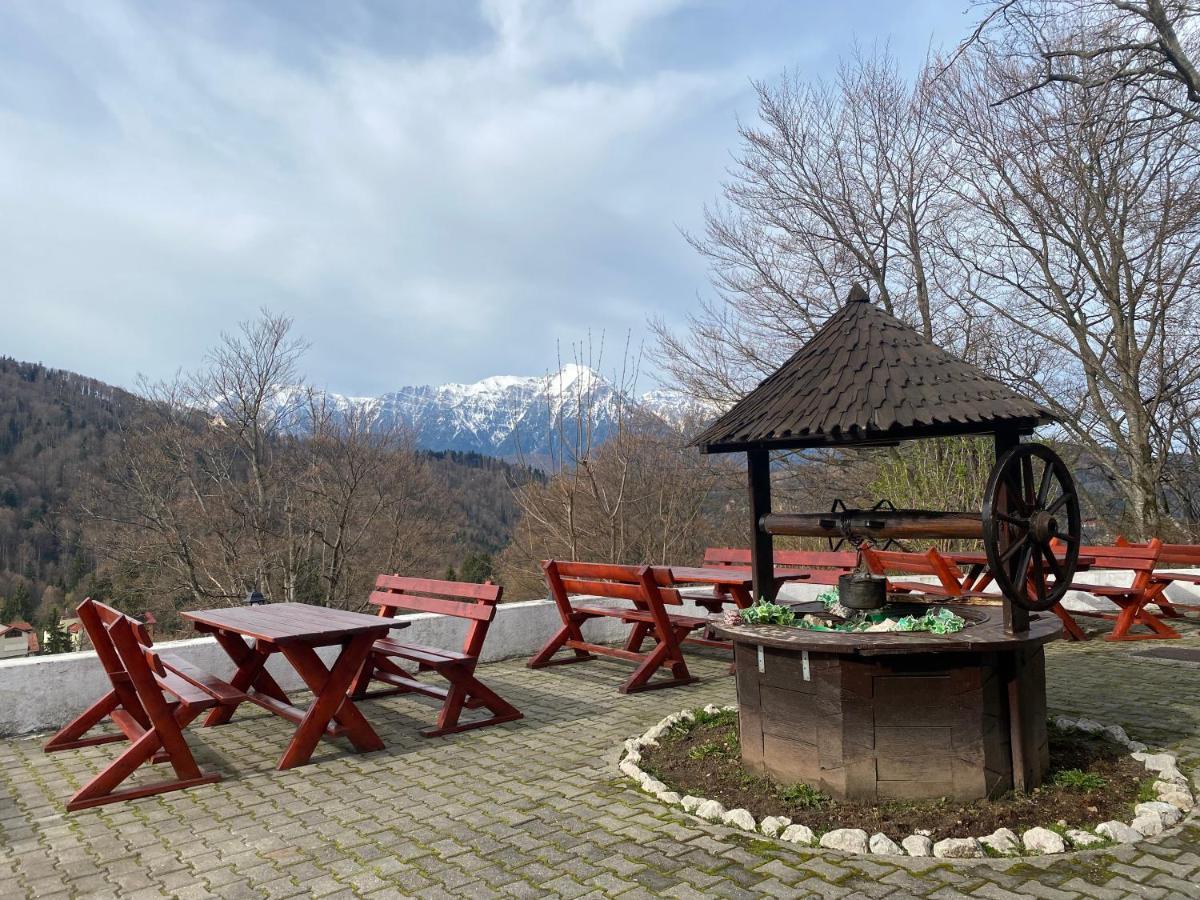 Cabana Trei Brazi Предял Экстерьер фото